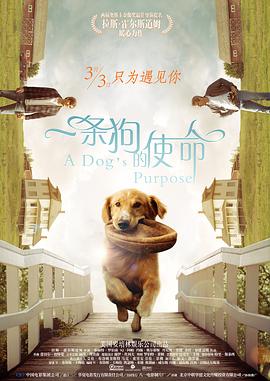 新娘：红字的秘密