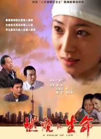 自由恋爱