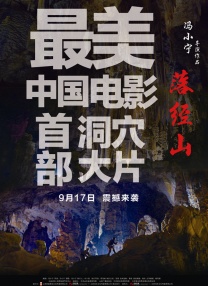 一仆二主电视剧43集